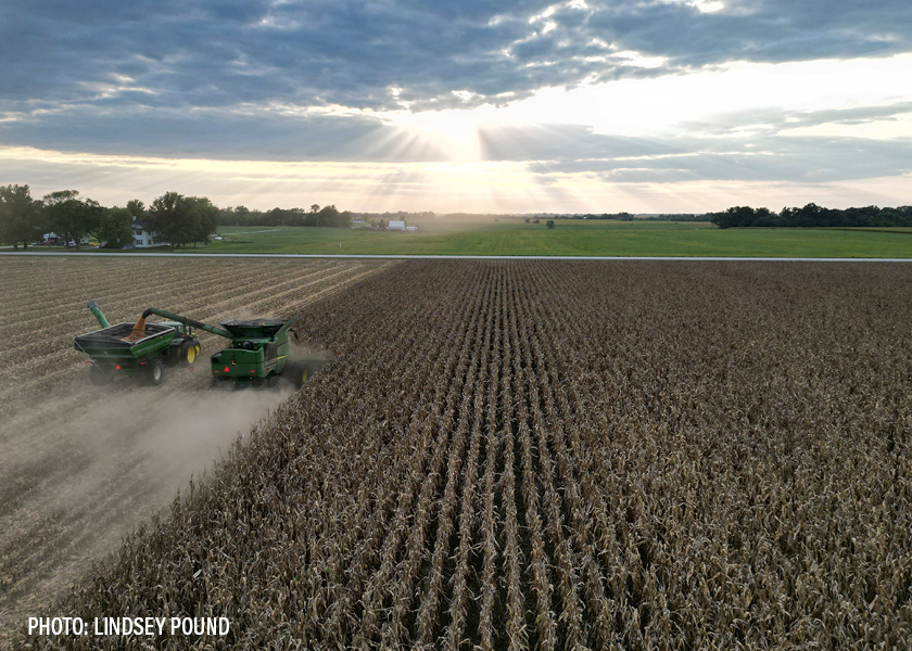 IGC Raises Global Corn, Wheat And Soybean Production Forecasts | AgWeb